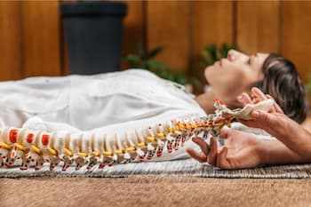 The spine in a chiropractic session